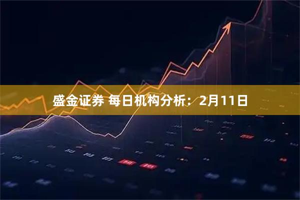 盛金证券 每日机构分析：2月11日