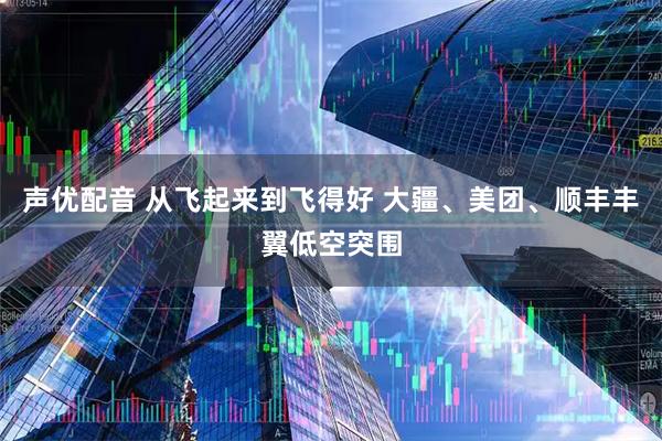 声优配音 从飞起来到飞得好 大疆、美团、顺丰丰翼低空突围